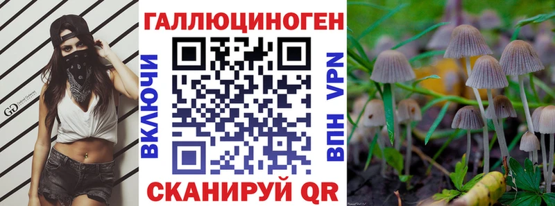 где можно купить наркотик  Губаха  Галлюциногенные грибы ЛСД 